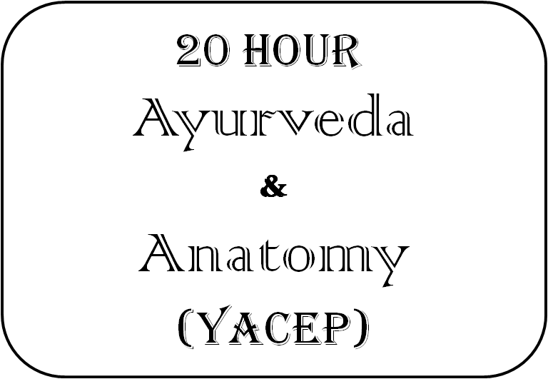 Yoga Anatomy Course ayurveda-and-anatomy-yacep-course