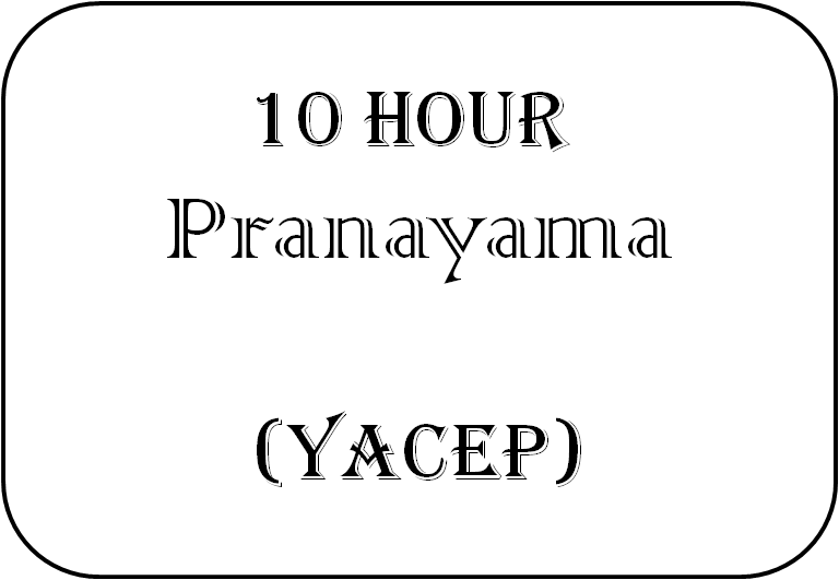 Pranayama Course pranayama-yacep-course